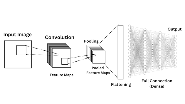 Convolutional Neural Network Arcitecture