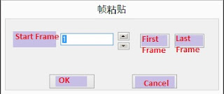 LED Edit paste frames window