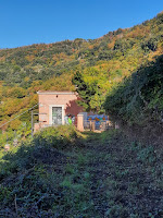 lago di nemi cosa fare e vedere