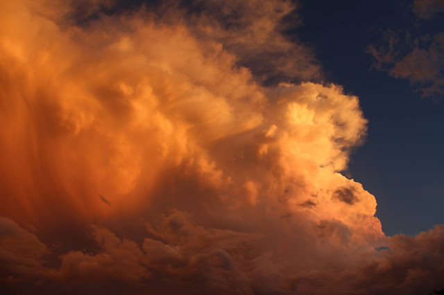 clouds, sky, photography, sarah myers, sunset, evening, desert, weather, majestic, twilight, digital, blue, orange, skies, photograph, beauty, large, vast, skyscape, landscape, cloudscape, vivid, autumn, fall, storm, thunder, cumulus, impressive, bright, night, Sonora, tumult