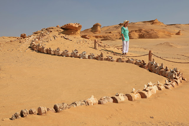 Вади-аль-Хитан (или Долина китов) в Египте