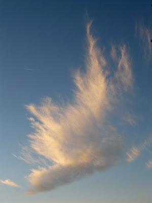 Clouds That Look Like