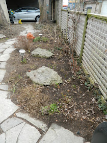 Leslieville Toronto Spring Back Yard Cleanup After by Paul Jung Gardening Services--a Toronto Gardening Company