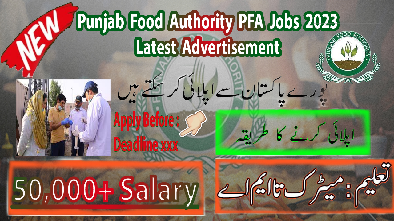 punjab food authority jobs