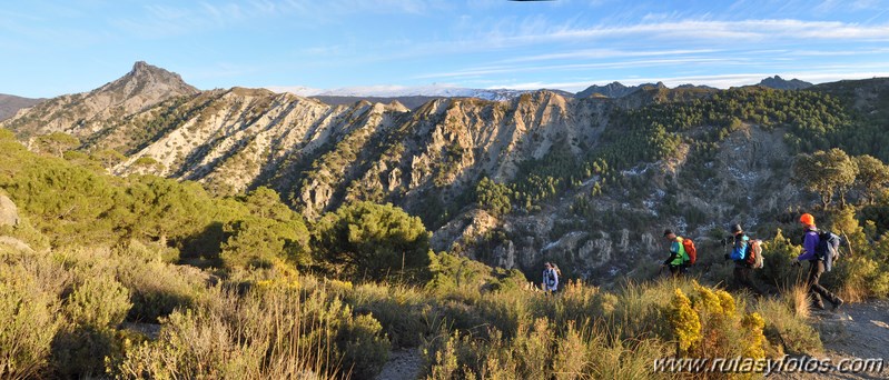 Trevenque - Cerro del Cocón - Cerro Gordo - Pico de la Carne