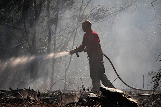 lkos incendios sofocan un fuego forestal entre Gorostiza y La Siebe