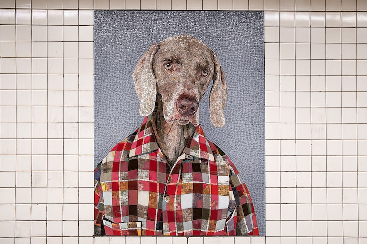 Artist Redesigns NYC Subway Station With Colorful Dog Mosaics