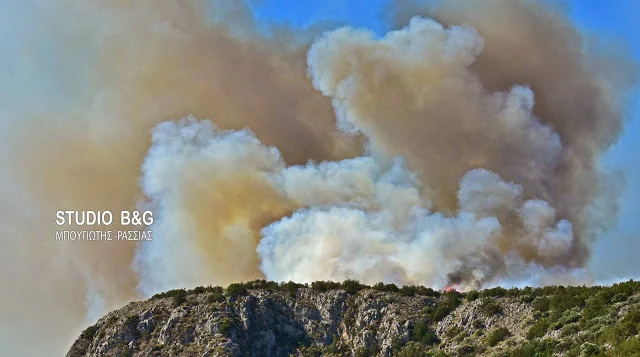 Μεγάλη πυρκαγιά σε δύσβατη περιοχή στον Ταΰγετο 