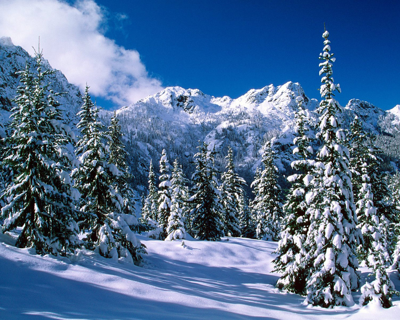 Amazing Set of Winter Scene 25 Wallpapers 2012 ~ Celebrities Mania