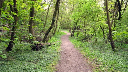 Severn Way Stage 17 270410 016