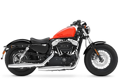 2010-Harley Davidson 48