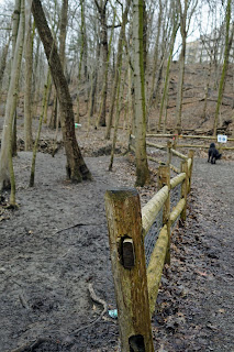 Wooden fence where the official trail ends.