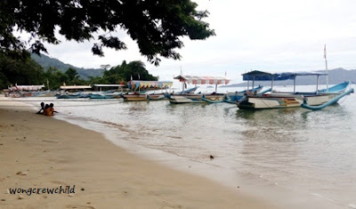 pantai karanggomgso trenggalek