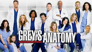 DESCARGAR GREY' ANATOMY 19  MEGA - LATINO GRATIS