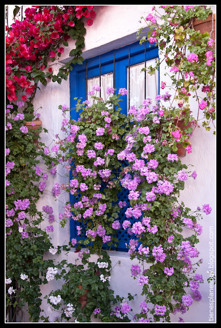 Patios de Córdoba