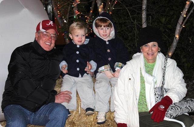 zoo lights