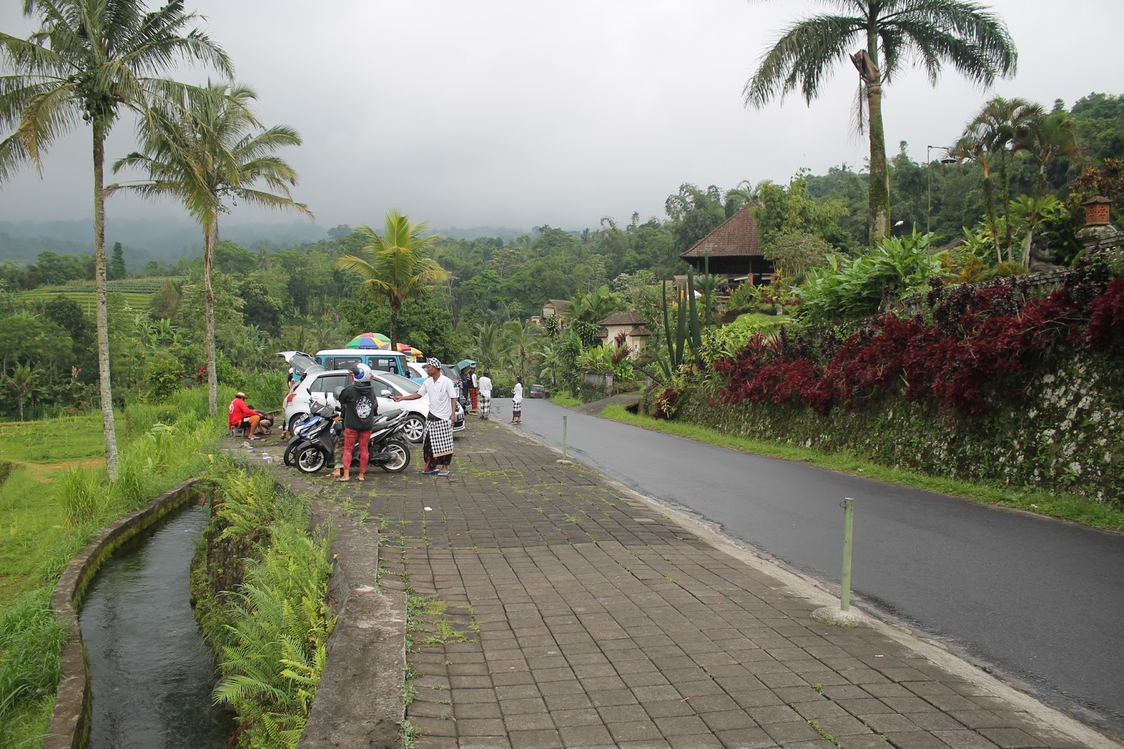 Objek Wisata Pemandangan Sawah Jatiluwih Tabanan Bali Enjoy Bali