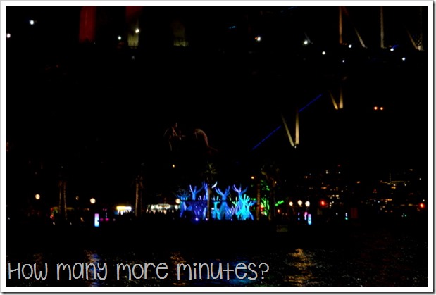 Vivid Sydney 2015 ~ How Many More Minutes?