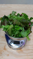 Leafy Lettuce Mix