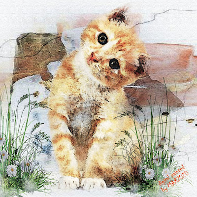 Cute Kitten