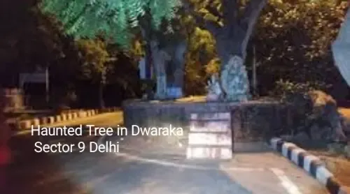 haunted tree dwarka sector 9 delhi photo