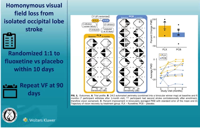 Fluoxetine Improves Visual Field Loss After Stroke