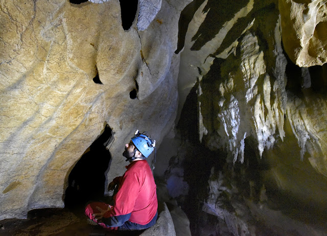  H5N1 serial of prehistoric cave paintings has been uncovered inwards the Basque Country 14,500-year-old cave paintings discovered inwards Spain