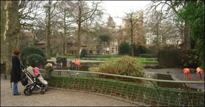 antwerpen-dierentuin-1