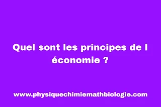 Quel sont les principes de l économie ?