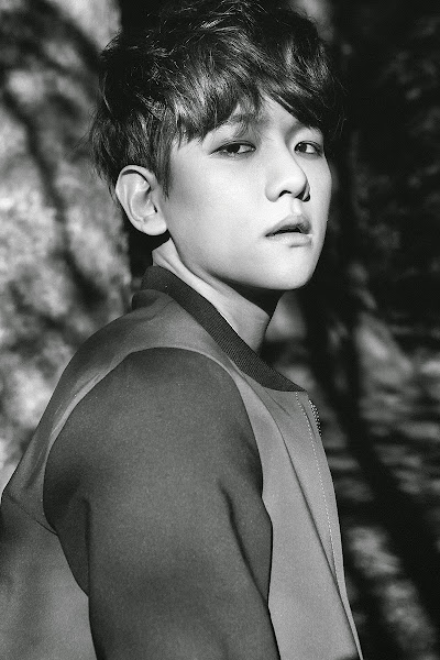 EXO's Baekhyun concept image from the EXODUS album