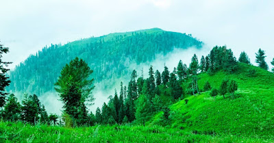 Best-things-to-do-in-Nathia-Gali-Pakistan