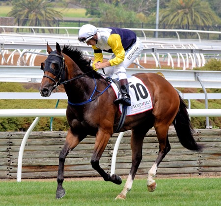 race 3_falcool 2 race 3_falcool 2