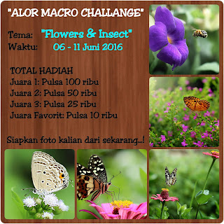 Lomba Foto Macro Juni 2016 - ALORMACRO