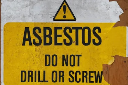 Mesothelioma – The Deadly Cancer Related to Asbestos