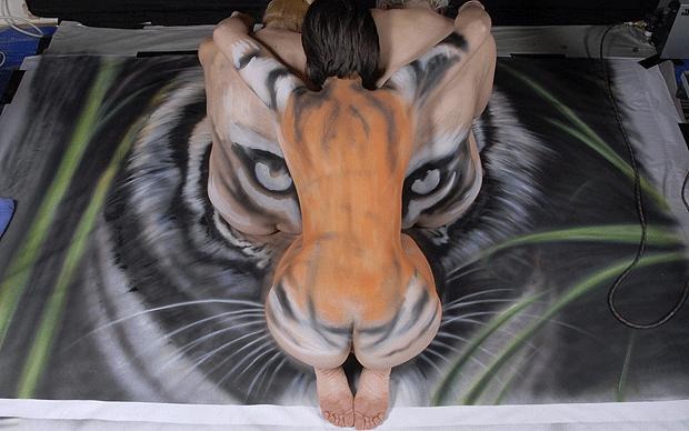 craig-tracy-tiger (10)