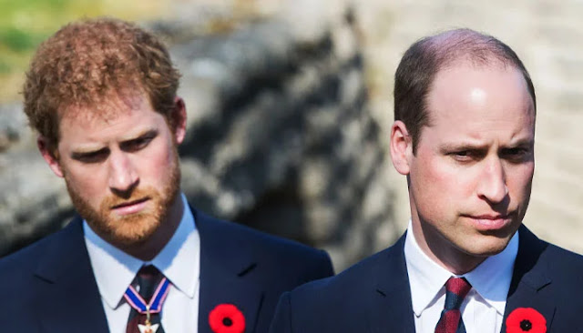 Insights into Prince Harry and Prince William's Alleged Text Exchange Revealed