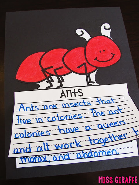 Ants writing craft that is NO PREP perfect for learning about insects in science in the springtime! Click for a ton of fun Spring activities and writing prompts!