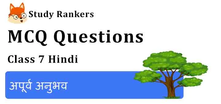 MCQ Questions for Class 7 Hindi Chapter 10 अपूर्व अनुभव Vasant