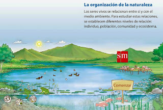 http://www.smlir.net/ArchivosCMS/DemoLir/SM/U5_p57_01/Organizacion%20de%20la%20naturaleza.swf