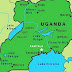 Uganda: 3-year-old girl loses 'genital' in UK