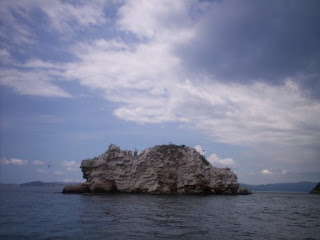 imagen el ratòn islote del parque nacional mochima 