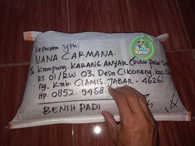 Benih Padi TRISAKTI Pesanan NANA CARMANA Ciamis, Jabar.    (Sesudah di Packing)