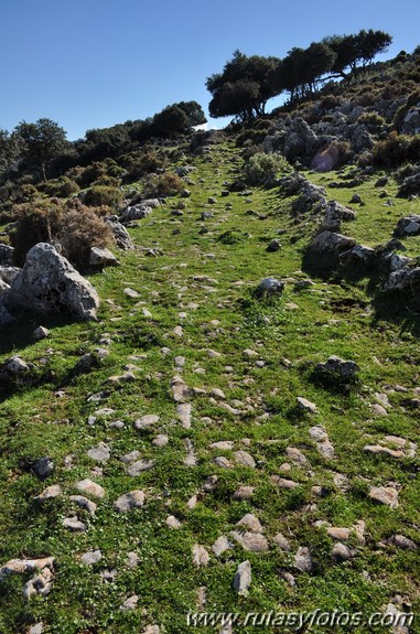 Calzada de Villaluenga a Grazalema