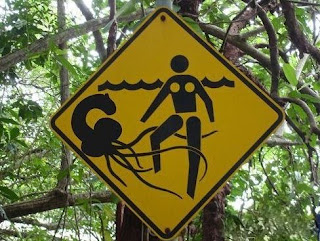 Funny swimming sign