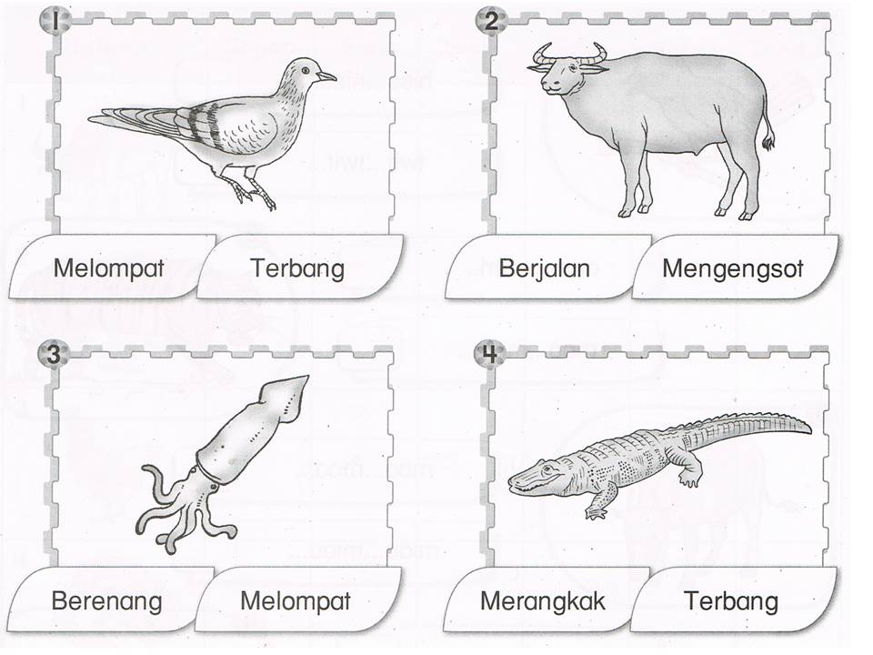 Dunia Sains dan Teknologi Tahun 1 (KSSR): Latihan