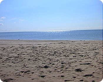 beach-morning