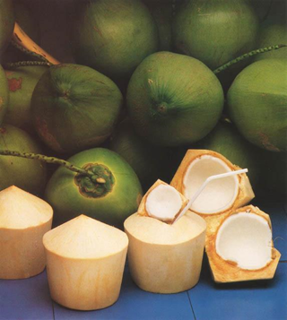 Air Kelapa