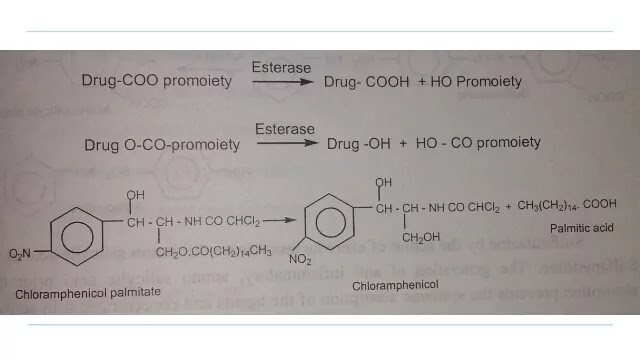 Carboxilic Acid and Alcohols