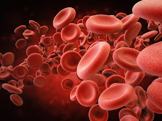 Illustration of red blood cells