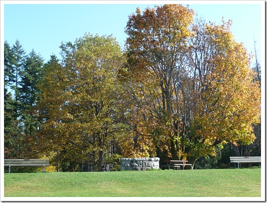 P1070678